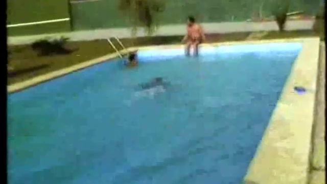 PISCINA AJOS смотреть онлайн