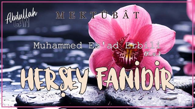 70. MEKTUB - HERŞEY FÂNİDİR- Muhammed Esad Erbili Hazretleri (K.s.) смотреть онлайн