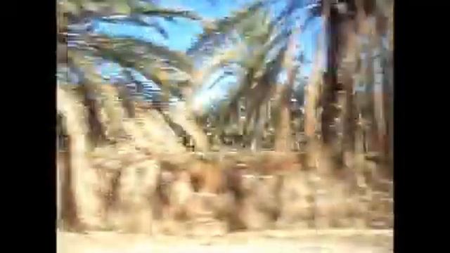Road To The South Of Tunisia -Djerba/Douz Festival  2014- Gnientalgherf
