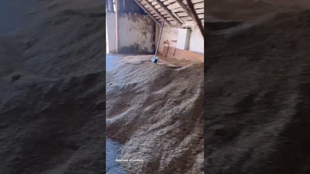 11 сентября 2024 г. смотреть онлайн