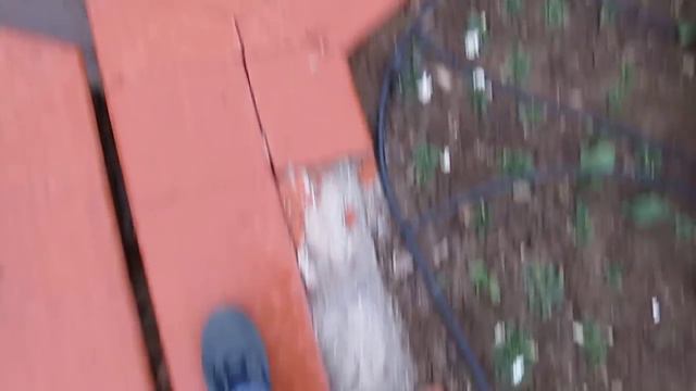 Ремонтите на Столична община (Южен парк)