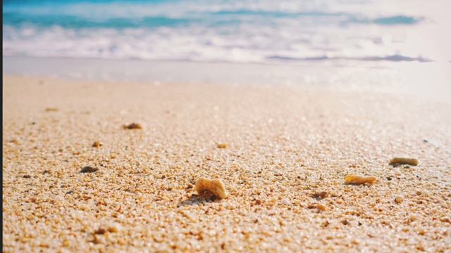 ペパーミントブルー / 大瀧 詠一   弾き語りcover