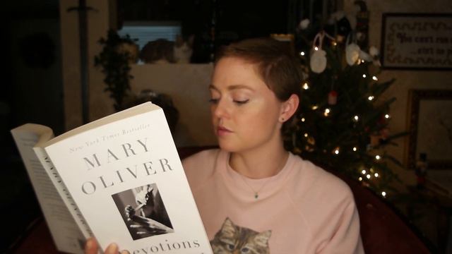 Mary Oliver- "Devotions" | Cozy Tea & Poetry Time смотреть онлайн