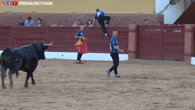 Toros Bravos Solo Mejores Momentos #3