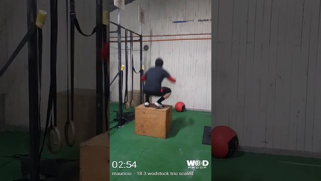 Mauricio Abarzua - Wodstock 18.3 Trios Scaled