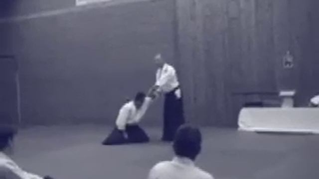 Aikido Demo Masakatsu Dojo