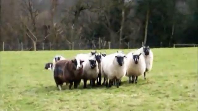 Nidderdale Jill (known as Jo) Part 2 смотреть онлайн