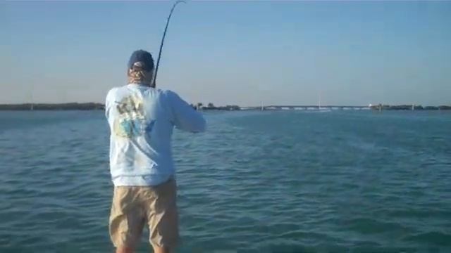 TARPON - "STRAY CAT CHARTERS" смотреть онлайн