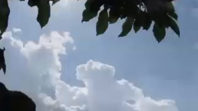 ERNESTO CORTAZAR- After The Rain