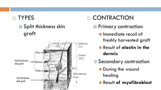 PRINCIPLES, TECHNIQUES, AND BASIC SCIENCE OF PLASTIC SURGERY смотреть онлайн