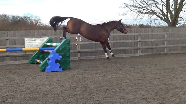 Tianna jump lane 2 смотреть онлайн
