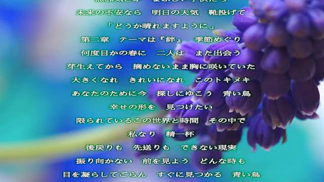 青い鳥／金田朋子／歌詞付き Relaxing Music