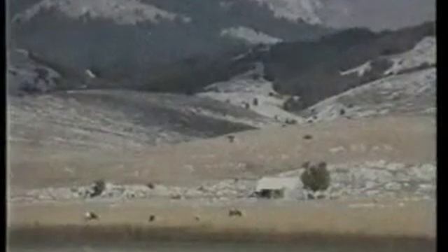 Ranko Boban- Hercegovina U Srcu смотреть онлайн