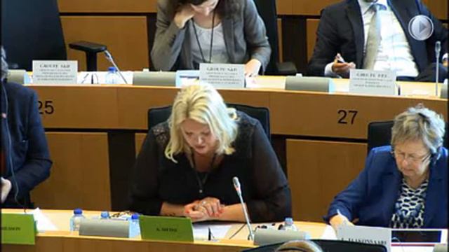 Anna Hedh (S) om vapendirektivet смотреть онлайн