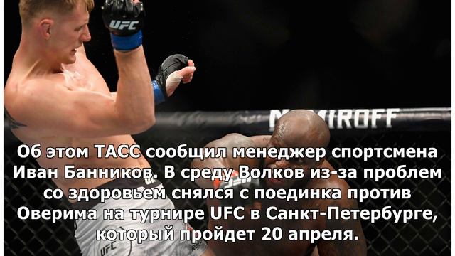 Боец Волков планирует провести следующий поединок в UFC летом смотреть онлайн