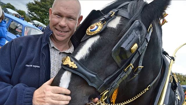 Saddle Up For Whalton’s 2017 Show