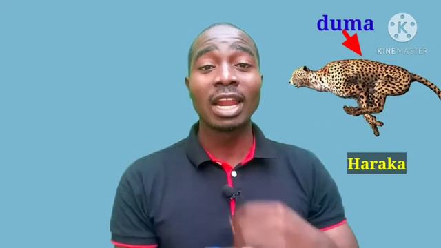 Swahili short story. Mwalimu Baraka na darasa lake. смотреть онлайн