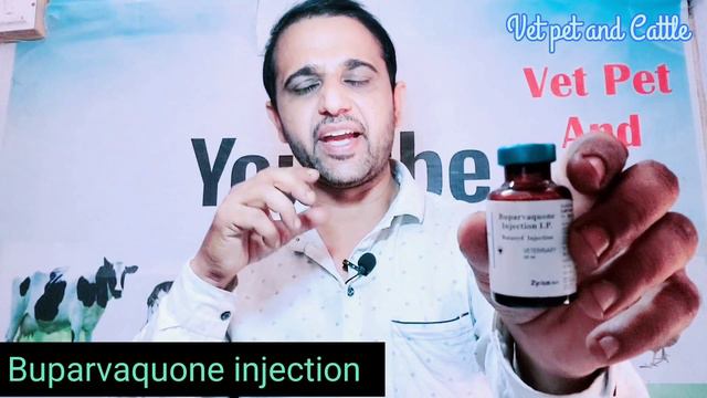 पशुओं के मुंह से लार आना||मुंह फाड़कर सांस लेना||तापमान बहुत बढ़ जाना||का इलाज कैसे करें?Tretment