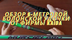 Болонское удилище. Обзор 6-метровой болонской удочки