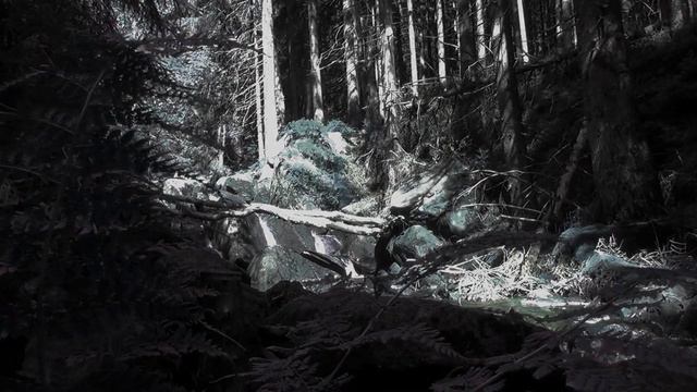 "WEG" Der Weg auf den Brocken mal anders. Soundtrack by www.trackmusic.de смотреть онлайн