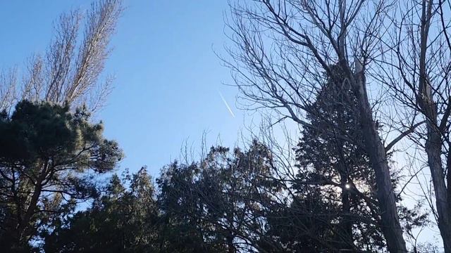 Адам Делимханов Ахмат Сила Аллаху Акбар . video music чеченский ловзар смотреть онлайн