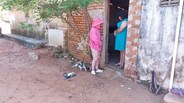 bastidores !! ROSINHA tomou a namorada de seu Sérgio e seu Mané e Seu Antonio ficou mangando!! смотреть онлайн