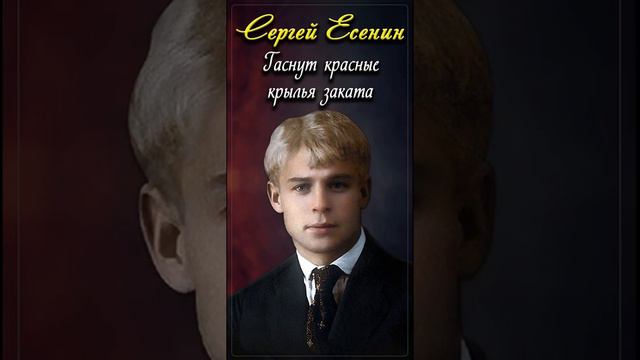 Гаснут красные крылья заката - Сергей Есенин (читает Расул Давлетов) #shorts смотреть онлайн