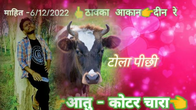 Nes now sagun din ll jil jom marang doson ll new santali status video.. смотреть онлайн