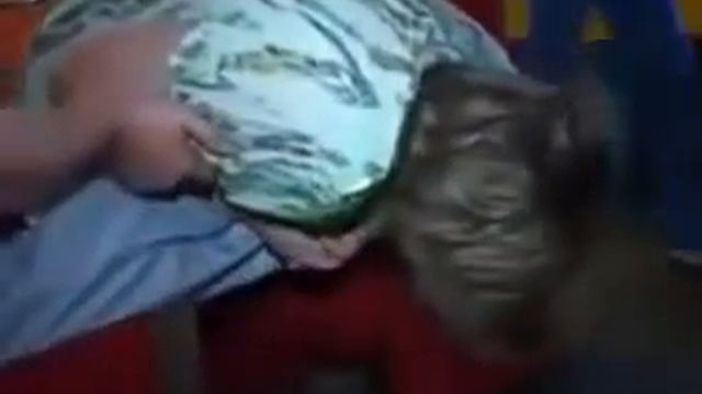 Тамада Новосибирск