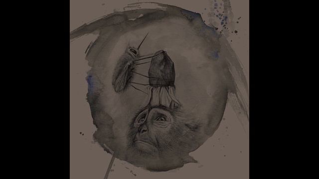 Blasted - Invaders (Blush Response Remix) [AEV01] смотреть онлайн