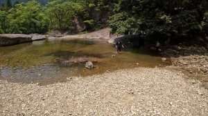 Отдых в Японии с семьей. Поездка на речку