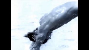 Madonna "(ft. Henry Rollins)" - Cherish