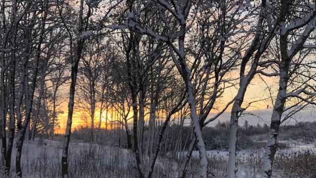 Guo Bass Flute - Jānis Lūsēns - Janvāris