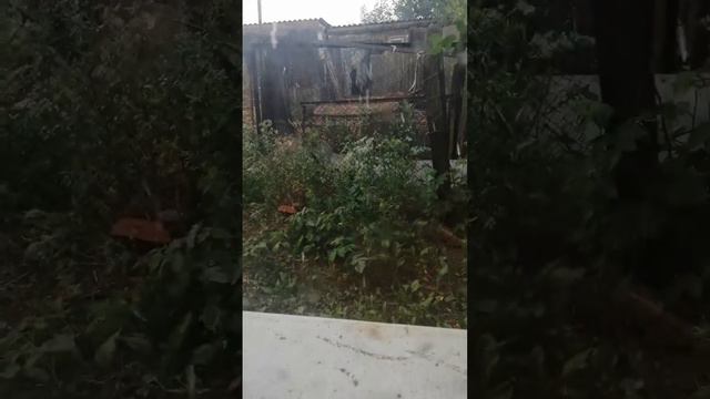 грат молния гром у нас в селе жопа смотреть онлайн