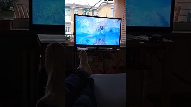 Miressi oro 100 sl vasca corta 2021 - 21 dicembre смотреть онлайн