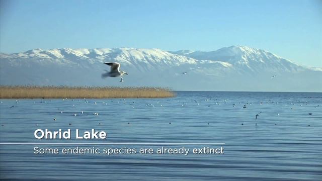 The Act4Drin Travelogue 'Living Well In Harmony With The Drin'