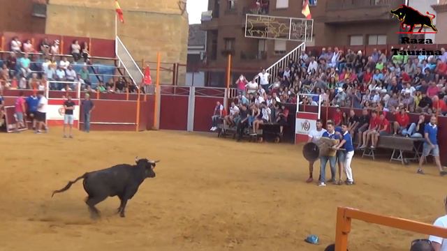 Concurso De Cestos. Mayorga. 28 Septiembre 2018