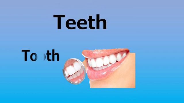 أجزاء الجسم بالأنجليزية Parts Of Body