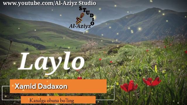 Xamid Dadaxon - LAYLO. (jonli Ijro). | Хамид Дадахон - Лайло.