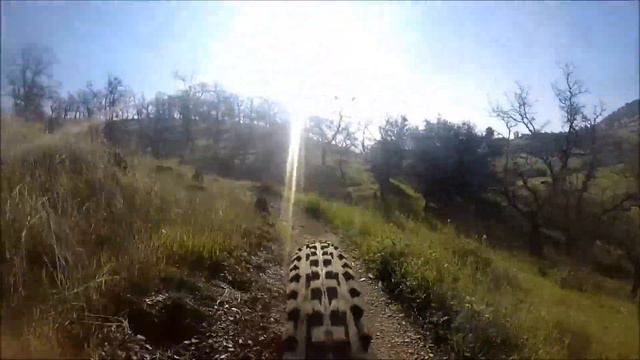 Dennis sends it ! exchequer ride ! смотреть онлайн