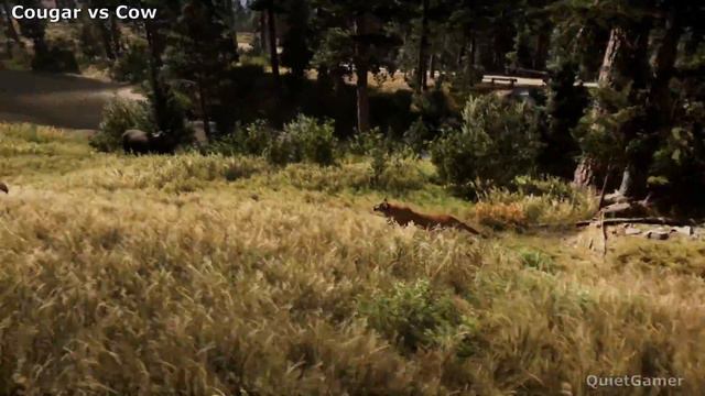 Far Cry 5 All Animals Attack & Bite Animations смотреть онлайн