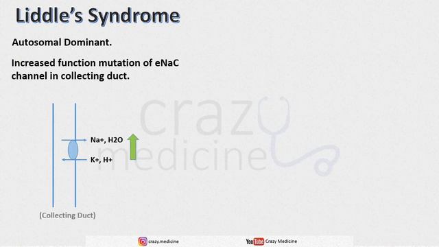 KIDNEY SYNDROMES | Bartter Syndrome, Gitelman Syndrome, Liddle's Syndrome | NEET