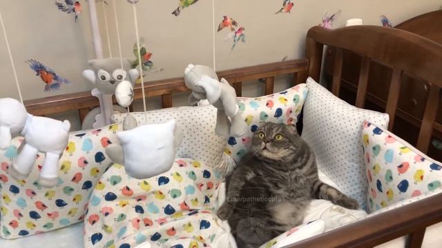 Таненбаум залип. смотреть онлайн