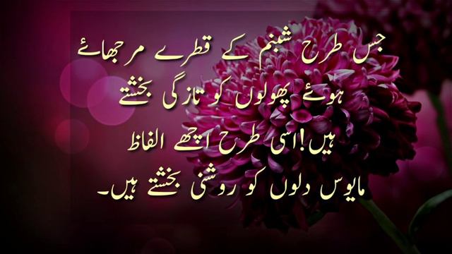 Hazrat Ali Quotes || Dukh Ma Kisi Bhi Pachtawy K Ansoo Na Bahao ||Sad Quotes