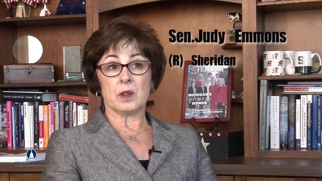 Senator Tonya Schuitmaker on the 19th Amendment Anniversary смотреть онлайн