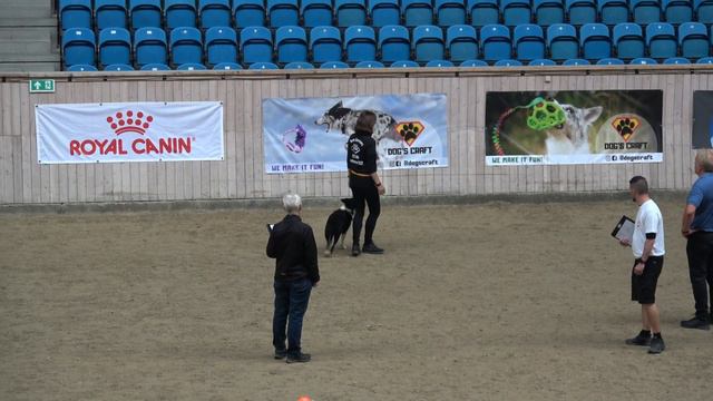 2022 Obedience World Championships Shauna Wenzel Miff Teil I Part I смотреть онлайн