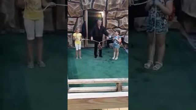 Фокус смотреть онлайн