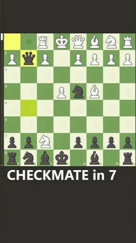 CHECKMATE in 8 (BS Gambit) смотреть онлайн