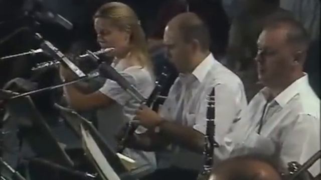 SRDJAN SAVIC harmonika Hora Vasile Pandelescu acordeon смотреть онлайн