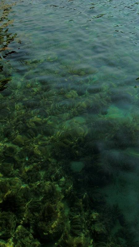 Высшее благо (Summum bonum) смотреть онлайн